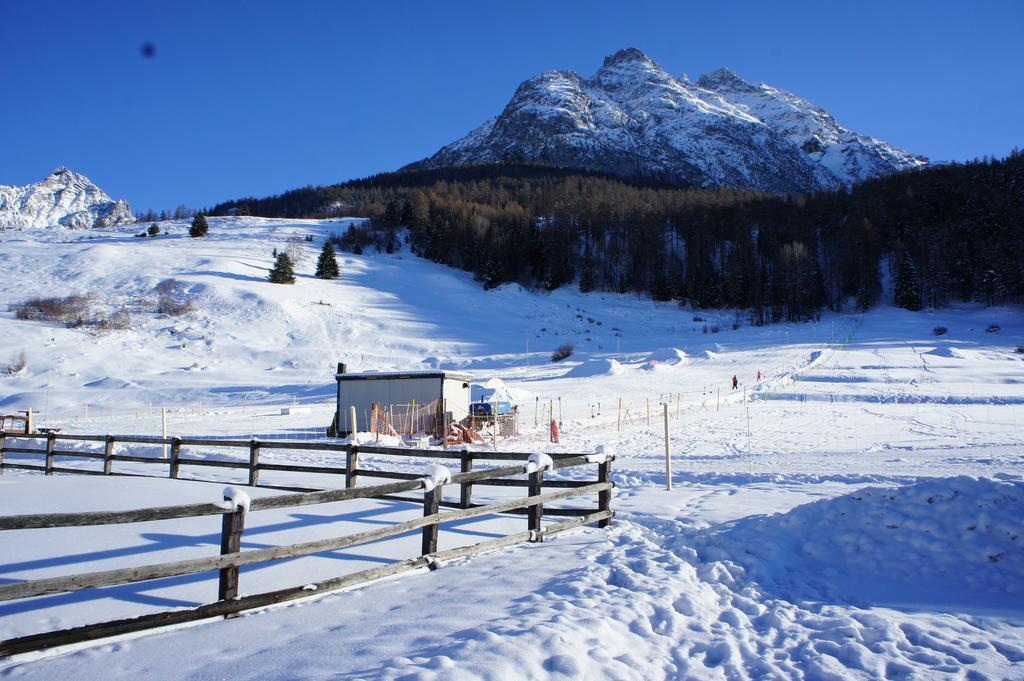 Haus Am See Tarasp Екстериор снимка